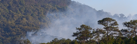 Proceso Participativo sobre el Proyecto de Decreto por el que se establecen medidas de prevención y planificación contra incendios en el medio natural