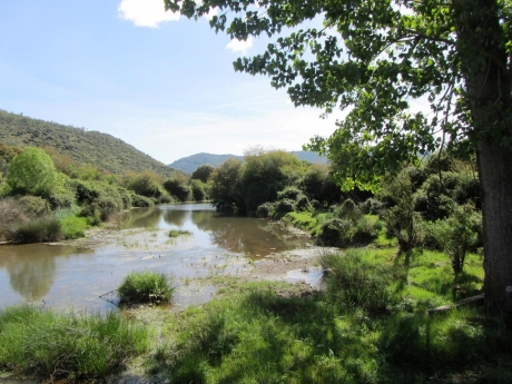 Nueva oferta de cursos sobre Agua Forestal 2014